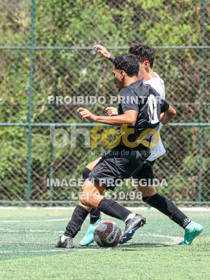 Detalhes da foto #62725