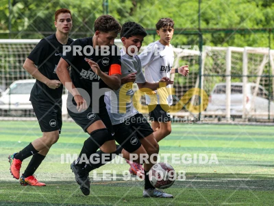 Detalhes da foto #76865