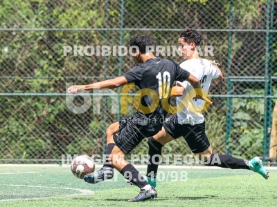 Detalhes da foto #44169