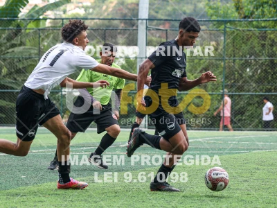 Detalhes da foto #14875