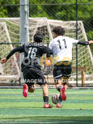 Detalhes da foto #20166