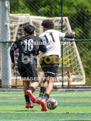 Detalhes da foto #81211