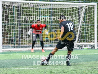 Detalhes da foto #15447