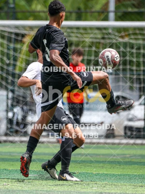 Detalhes da foto #42071