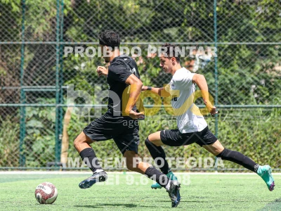 Detalhes da foto #33671