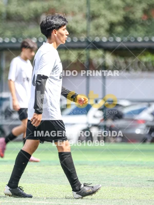 Detalhes da foto #71586