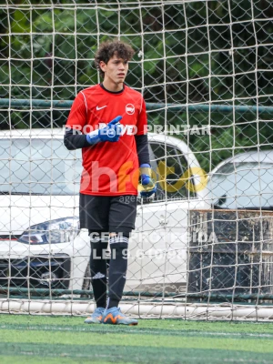 Detalhes da foto #36797