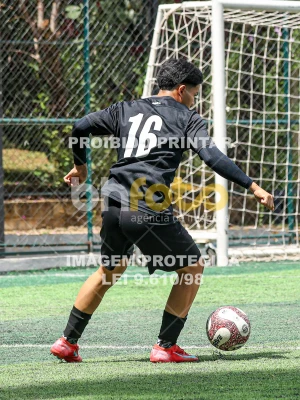 Detalhes da foto #57740