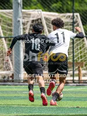 Detalhes da foto #21206