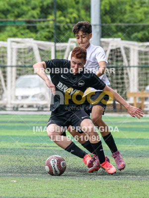 Detalhes da foto #25678