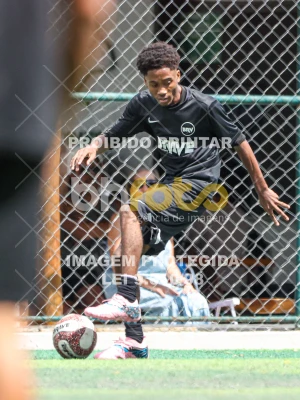 Detalhes da foto #78910