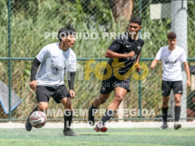 Detalhes da foto #13971