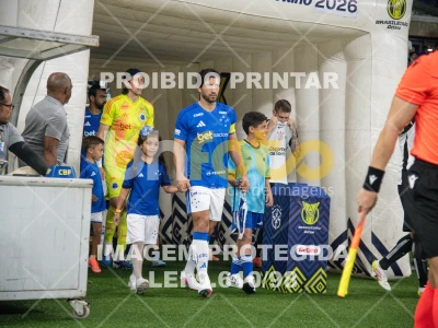 Detalhes da foto #95752