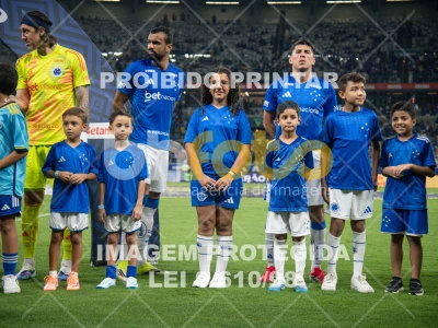 Detalhes da foto #81990