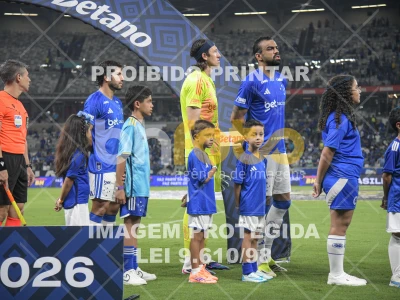 Detalhes da foto #38786