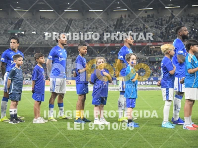 Detalhes da foto #20316