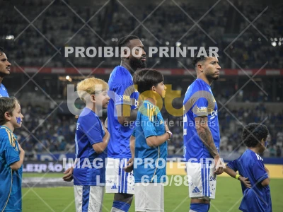 Detalhes da foto #73076