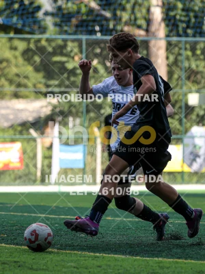 Detalhes da foto #85235