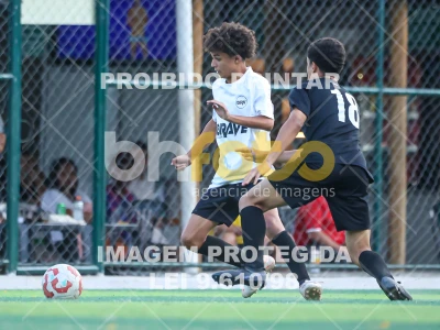 Detalhes da foto #58733