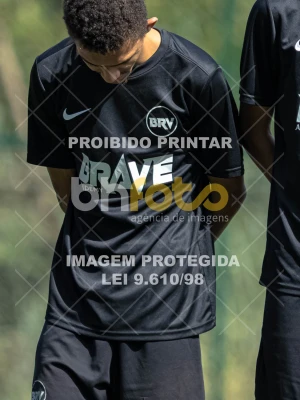 Detalhes da foto #3390019