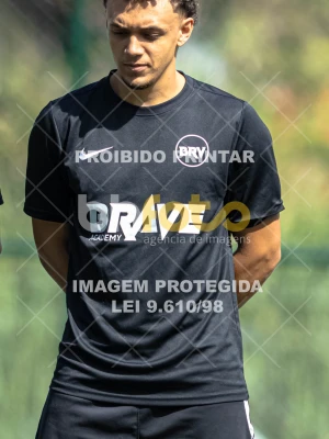 Detalhes da foto #4067031