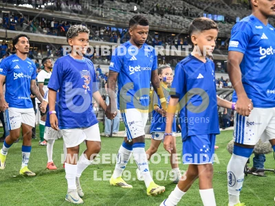 Detalhes da foto #52917