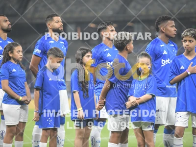 Detalhes da foto #73316