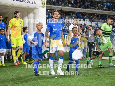Mascotes - Cruzeiro X Coritiba - Campeonato Brasileiro - Profissional