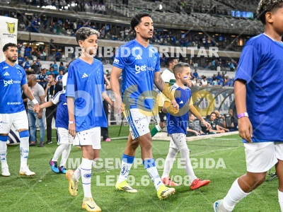 Detalhes da foto #62412