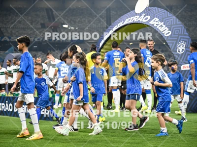 Detalhes da foto #67342