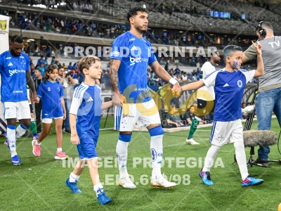 Detalhes da foto #10010