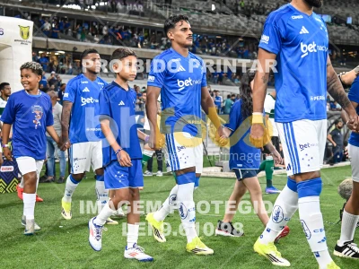 Detalhes da foto #35046