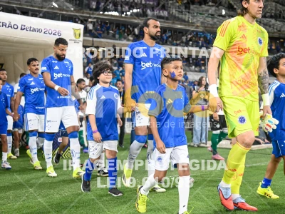 Detalhes da foto #13060