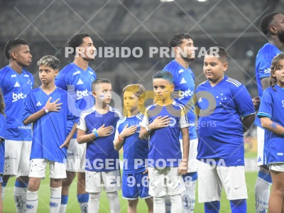 Detalhes da foto #16678