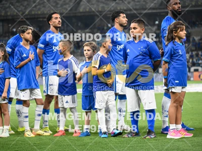 Detalhes da foto #69284