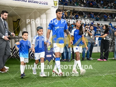 Detalhes da foto #93227