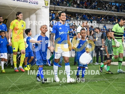 Detalhes da foto #92153