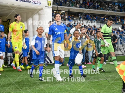 Detalhes da foto #86687