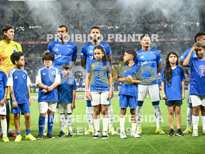 Detalhes da foto #84400