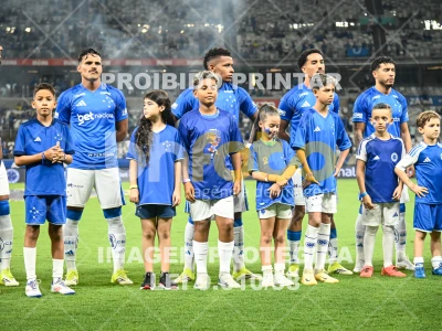 Detalhes da foto #96286