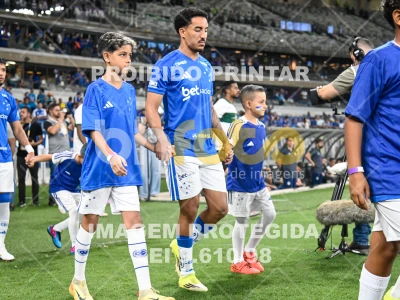 Detalhes da foto #82139