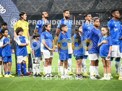 Detalhes da foto #78334