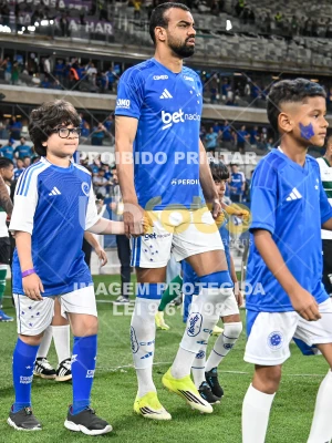 Detalhes da foto #32990