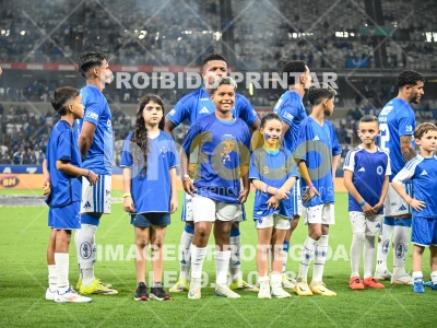 Detalhes da foto #79585