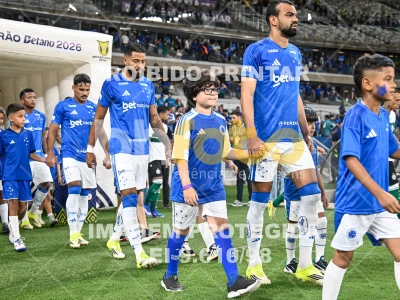 Detalhes da foto #91773