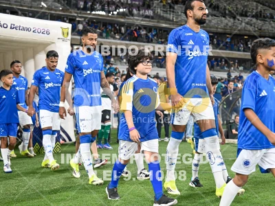 Detalhes da foto #62570