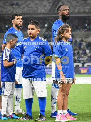 Detalhes da foto #84522