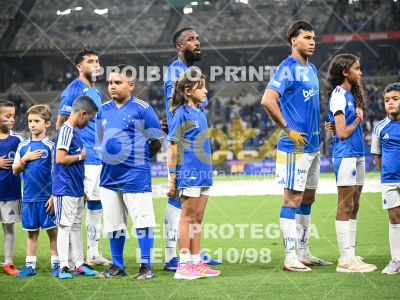 Detalhes da foto #13448