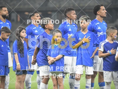 Detalhes da foto #95716