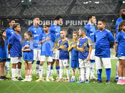 Detalhes da foto #51298